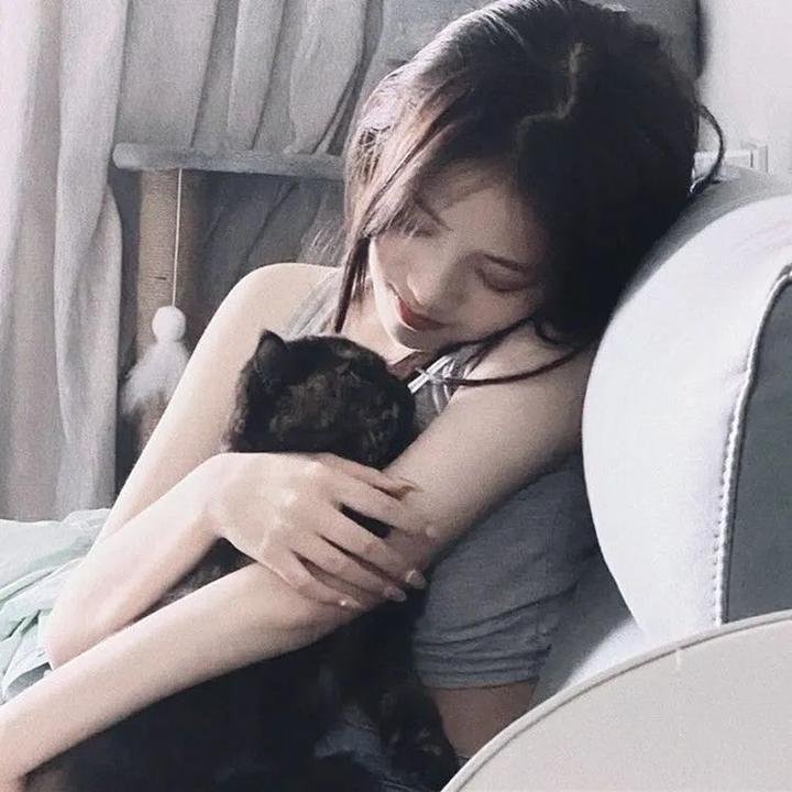 亲爱的大笨象 在线观看